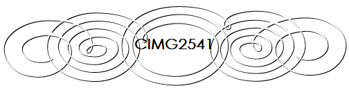 CIMG2541