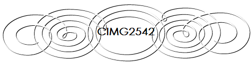 CIMG2542