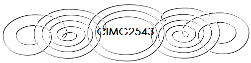 CIMG2543