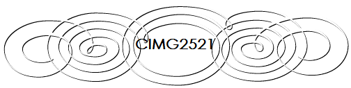 CIMG2521