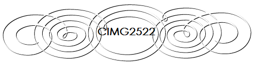 CIMG2522