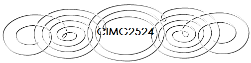CIMG2524