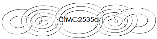 CIMG2535a