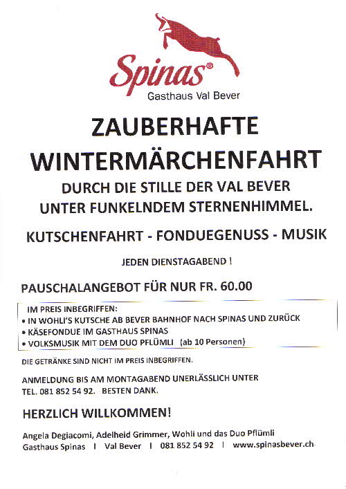 Plakat Wintermärchenfahrt Spinas